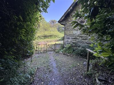 Picture 15